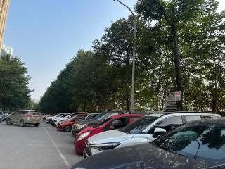 Thái Bình 601TM27 - 3