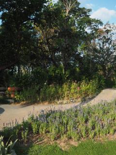 Monte Viento Khaoyai - 2