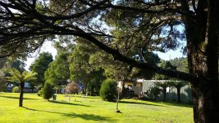 Zeehan Bush Camp - Zeehan - 3