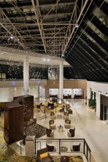 DoubleTree by Hilton Stamford - 8