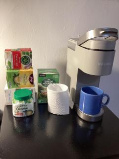 Large Bedroom with Private Bathroom step to Train &Buses in Boston - 5