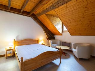 Duplex familial, 9 pers, animaux admis, parking, proche navette à Barèges - FR-1-403-113 - 2