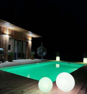 Vila s vířivkou a bazénem na úpatí Krušných hor - 9