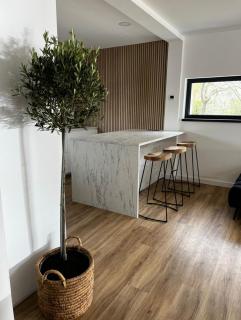 Vila s vířivkou a bazénem na úpatí Krušných hor - 1