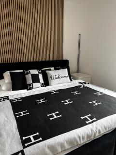 Vila s vířivkou a bazénem na úpatí Krušných hor - 3