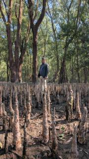 The Red Crab Tarua Beach Resort & Restaurant - 4
