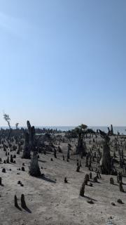 The Red Crab Tarua Beach Resort & Restaurant - 1