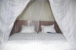 GreenNest Ranche - 1