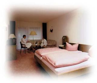Hotel Burg Waldau - Grasellenbach - 6