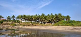 White Rocks Beach Resort - 9