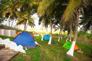 White Rocks Beach Resort - 1