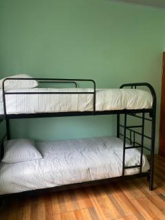 Green Rose House - 9