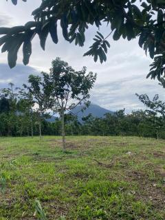 Green Rose House - 3