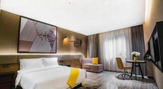 IU Hotels·Nanning Zoo Metro Station RT-Mart - 3