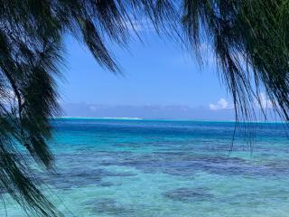 Lemon House Huahine - Maroe - 7