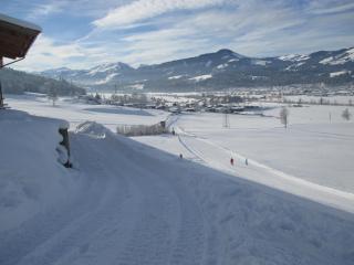 Griesbachhof-Wilder Kaiser - 7