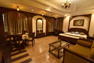 Hotel Niky International - Jodhpur - 8