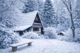 Squirrel cottage - 9