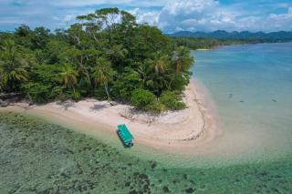 Arcata Jungle Black Beach, Puerto Viejo - 9