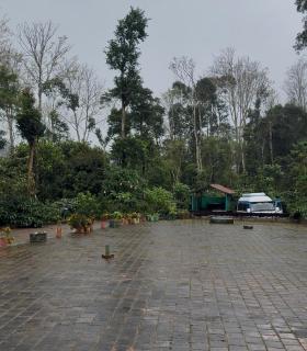 COFFEE ESTATE STAY COORg - 0