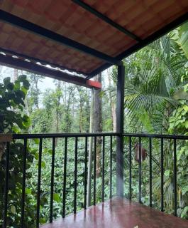 COFFEE ESTATE STAY COORg - 2