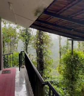 COFFEE ESTATE STAY COORg - 1
