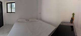 The Ummed Palace - 9