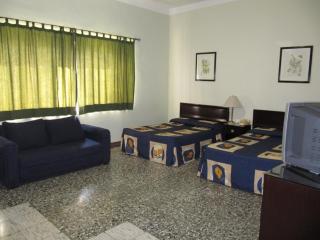 Hotel De Gante - San Luis Potosí - 3