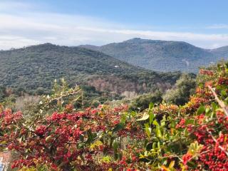 El rincón de Nora - 3