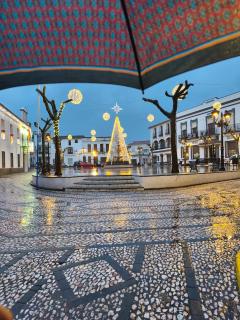 El rincón de Nora - 4