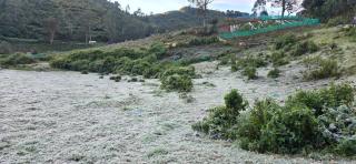 Bluehood WildScape - 5