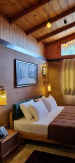 Rudraa resort and restaurant - 9