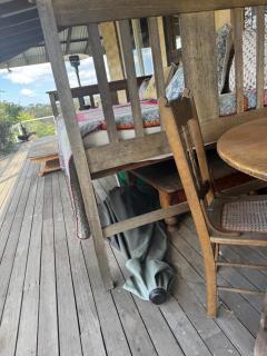 Mountain View Farm - 4