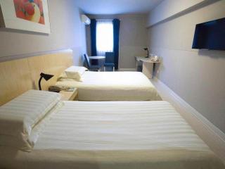 Jinjiang Inn Shanghai Lujiazui - 4