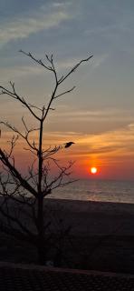 Paradise beach homestay - 8