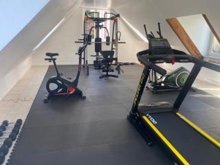 Maison piscine, salle de jeux, fitness et loisirs - 4