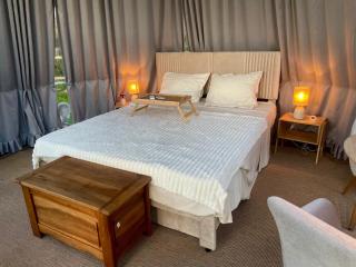 Maison Thalène - La Bulle - 2