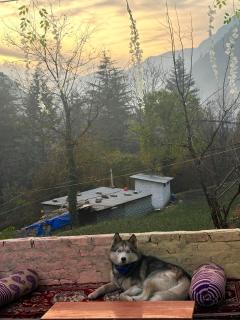 Clovee's Rooms and Cafe - 7