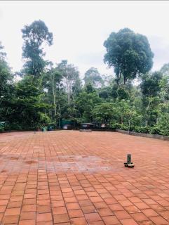 COFFEE ESTATE STAY COORg - 7