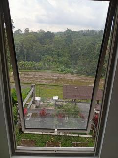 The living glamping and homestay - 2