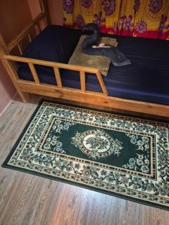 Tipid Camp Baguio - 9