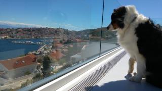 Design apartments 3&4 - Mali Lošinj - 9