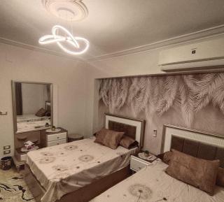 شقه مفروشه فرش فندقي مكيفه بالكامل غرفتين و حمام بمدينة نصر - 4