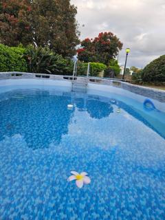 Wingrock Guesthouse - George - 4