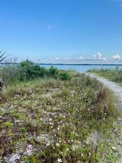 White Sands Beach Retreat - 7