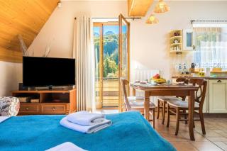 Krzeptówki Charming Apartment with Mountain Views Parking & Balcony by Noclegi Renters - 6