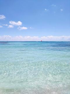 Aqua longe Saint-François - 7