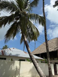 Zanzi coconut house - 2