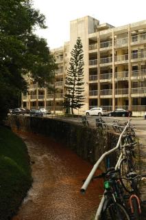 My Cozy Nest - Near Beach - 9