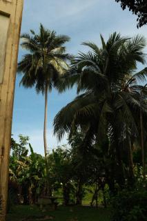 My Cozy Nest - Near Beach - 7